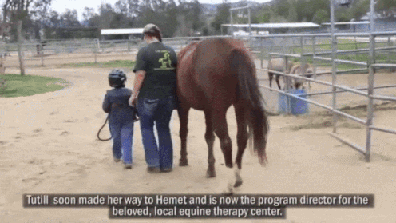 T.H.E Centre for Horse Riding and Coaching
