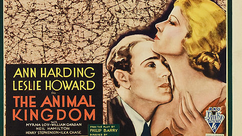 The Animal Kingdom