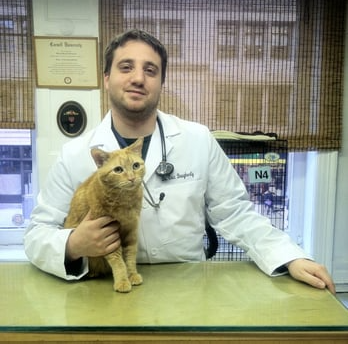 The Cat Practice – NYC’s Premier Feline-Only Veterinary Hospital. Serving Manhattan’s cats with expert, compassionate care for over 30 years. Comprehensive exams, diagnostics & surgery. Cat‑only facility – low stress, high expertise. Located at, 145 W 24th St, New York, NY 10011 (Chelsea), Call:  212‑677‑1401, Visit: thecatpractice.com, Email:  info@thecatpractice.comYour cat’s health is our only focus!